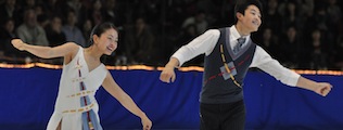 Shibutanis - Info Box